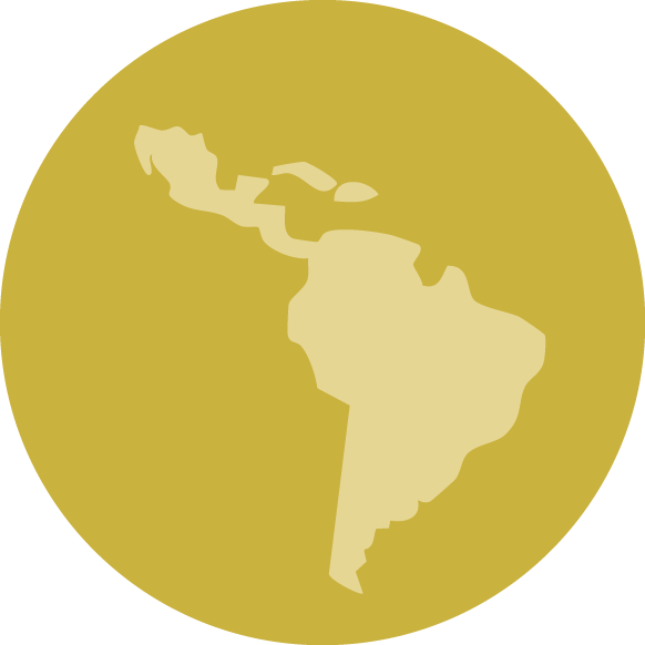 Program Type Icon