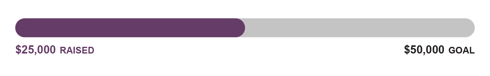 Fundraising tracker: Reads $25,000 raised out of $50,000 goal